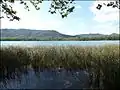 Lac de Banyoles (vue 1) .