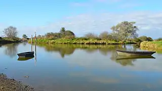 Le lac de Grand Lieu