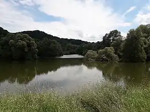 Partie sauvage du bras sud-est du lac.