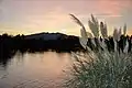 Lac Sant Marti devant le Canigou