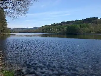 Image illustrative de l’article Lac de Saint-Pardoux