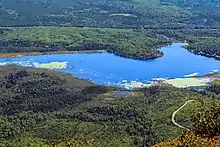 Lac des Cygnes.