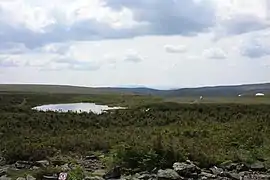 Lac sur le plateau au sommet du Mont-Albert