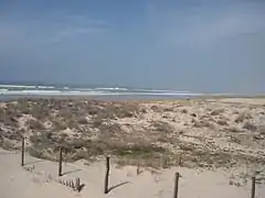 Dunes à Lacanau-Océan.