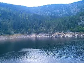 L'Altenkraehkopf (sommet boisé tout à gauche) vu depuis le lac Noir.