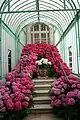 Escalier vers le pavillon des Palmiers