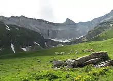 Pâturages dans la vallée de la Géla, sous la muraille de Barroude