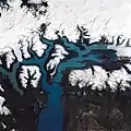 Vue satellite partielle du lac Argentino (partie occidentale) avec différents glaciers plongeant dans les bras du lac.