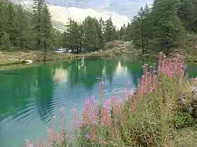 Image illustrative de l’article Lac Bleu (Valtournenche)