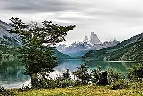 Autre vue du lago del Desierto