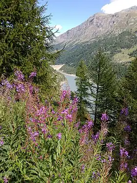 Le Valgrisenche et le lac de Beauregard.