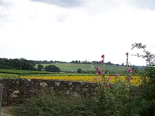 Lagraulet-du-Gers vu du cimetière Saint-Lannes.