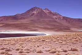 Vue de la Laguna Miscanti et du volcan Miñiques.