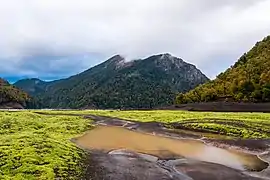 Une grande flaque d'eau bordée de mousse verte dans la vallée d'une montagne.