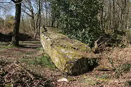 La Roche-qui-Chôme.