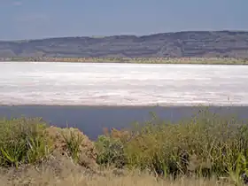 Image illustrative de l’article Lac Magadi