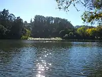 La plage du lac Anza par une journée ensoleillée