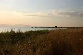 une rive du lac Malombe