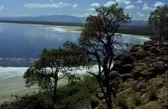 Lac Nakuru