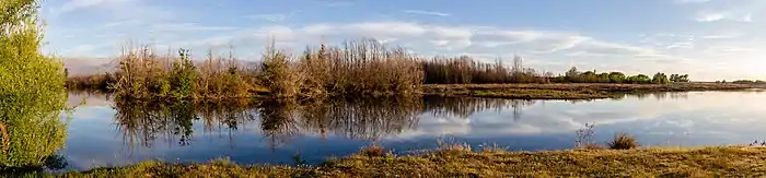 Belle étendue d'eau bordée de petits arbres et d'herbe rase, éclairée d'un doux soleil.