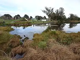 Forest Lake (Nouvelle-Zélande)