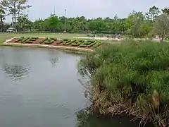 Lac au centre du parc