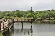 Vue d'un ponton sur un lac. L'arrière plan présente de nombreux arbres