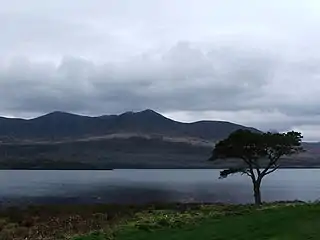 Lacs de Killarney dans le parc éponyme.