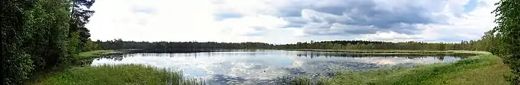 Le lac Lakjärvi dans le parc national de Kurjenrahka.