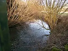 L'Airaines, rivière salmonicole, à Laleu.