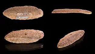 Lame Paléolithique supérieur  – Brassempouy - Muséum de Toulouse
