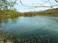 L'étang du Pont de Pierre alimenté par la Louyre, à Lamonzie-Montastruc.