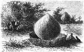 Meules de foin traditionnelles au pré, avec leurs clôtures, 1860