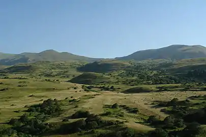 Prairie arborée en Arménie, partiellement exploitée en prairie de fauche.