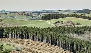 Paysage à Vézins-de-Lévézou.