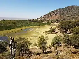 Paysage de l'île