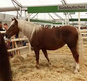 Trait allemand du Sud au Landwirtschaftliches Hauptfest 2010