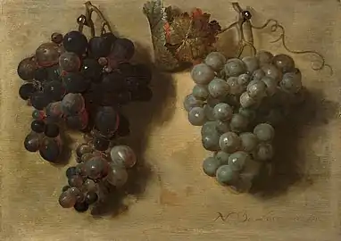 Nicolas de Largillierre, Deux grappes de raisin (1677).