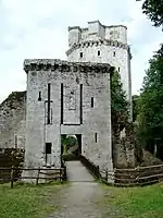 Château de Largouëtcomprenant la tour et l'ensemble des ruinesy compris basse-cour, douves, étang et sa digue, ruines de la chapelle, murs de clôture du domaine, puits, façades et toitures de la maison de garde dite « La porterie », portail à double entrée cochère et piétonne, quatre piliers placés au carrefour des deux allées principales du bois, deux piliers placés à l'entrée du domaine