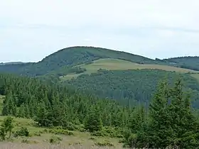 Vue du Lauchenkopf depuis le Schnepfenriedkopf.