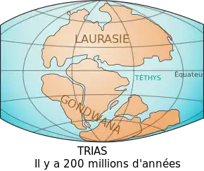 Carte des terres émergées au Trias, montrant deux supercontinents, la Laurasia et le Gondwana.