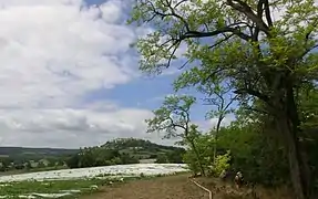 Lauzerte perchée sur son promontoire.