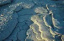 Coulée refroidie de carbonatite. Cratère de l'Ol Doinyo Lengaï (Tanzanie).