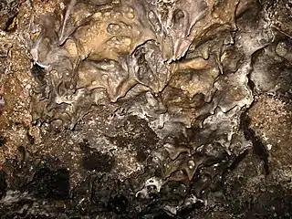 Stalactites de basalte au plafond d'un tunnel de lave (Lava Beds National Monument (les Lits de lave), Californie).