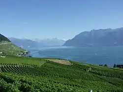 Le lac Léman, en Suisse romande