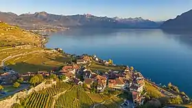 Image illustrative de l’article Lavaux