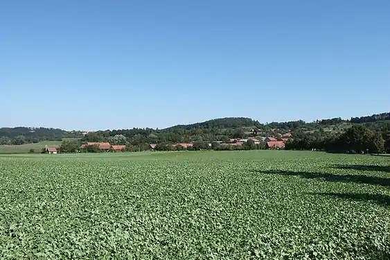 Panorama de Leština.