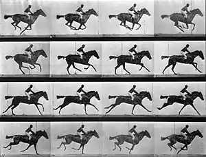 Un cheval diffèrent, Annie G., au galop, planche 626 publiée par Muybridge dans Animal Locomotion de 1887 (cf. planche 621) et dont la 3ème image inversée semble être celle présentée à la Royal Society de Londres avant le 25 mai 1889, selon The illustrated London News n°2614 du 25 mai 1889, pp. 1 et 3..