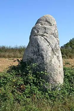 Image illustrative de l’article Menhir des Petites Jaunières