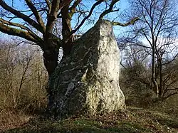 Le grand menhir des Grées en 2015